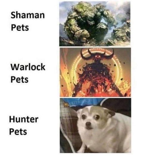 World Of Warcraft Funny, Dnd Jokes, Warcraft Funny, Wow Meme, Dungeons And Dragons Memes, Dragon Memes, Dnd Funny, Great Memes, Gamer Humor