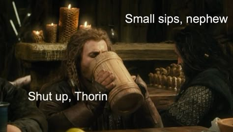 Funny Lotr, Hobbit Funny, Earth Memes, Lotr Funny, Hobbit Art, Fili And Kili, The Hobbit Movies, Thorin Oakenshield, Hobbit Hole