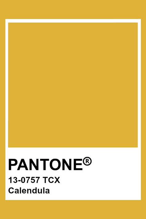 PANTONE 13-0757 TCX Calendula #pantone #color Pantone Colors Yellow, Pantone Mustard, Color Palettes For Home, Home Color Ideas, Graphic Design Color, Pantone Tcx, Pantone Red, Home Color Palette, Yellow Pantone