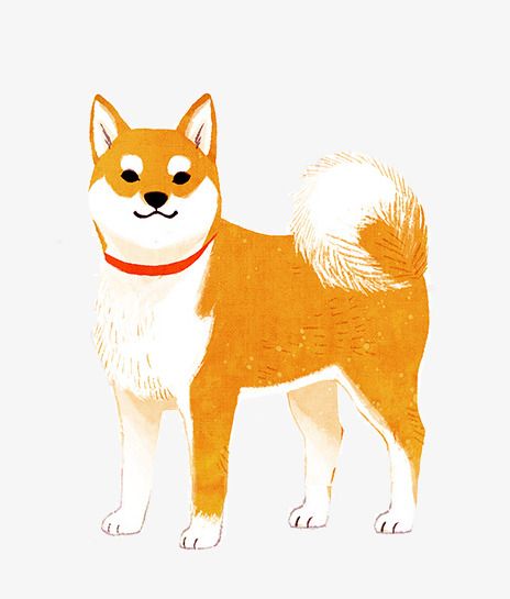 Shiba Character Design, Shiba Illustration, Anime Shiba Inu Dogs, Shiba Inu Illustration, Shiba Inu Character Design, Shiba Inu Illustration Cute, Cartoon Shiba Inu Art, Chibi Dog, Dyi Painting