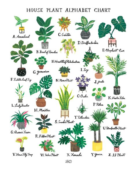 House Plant Alphabet Chart Art Print - Etsy Alphabet Chart, Alphabet Charts, Inside Plants, Room With Plants, House Plants Indoor, Plant Illustration, Plant Mom, Plant Art, Planting Herbs