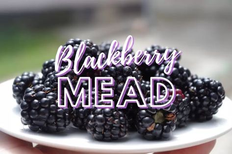 Blackberry Mead - The Perfect Berry Melomel Mead Recipe, Blackberry Wine, Wine Grape, Brewing Recipes, Home Brew, Fruit Wine, Mead, Wine Making, Home Brewing