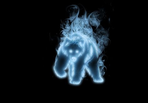 Patronus Art, Patronus Quiz, Harry Potter Preferences, Ghost Bear, Hp Aesthetic, Hogwarts Dr, Bear Artwork, Spirit Bear, Expecto Patronum