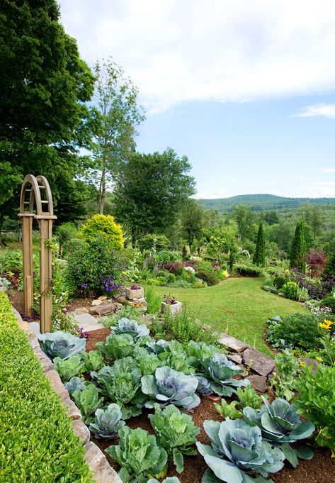 Check out how one couple transformed a large property into a gorgeous garden full of fresh produce that coexists among flower beds. #gardening #veggiegarden #bhg Flower And Vegetable Garden, Potager Garden, Garden Types, Landscape Designs, Vegetable Garden Design, Gorgeous Gardens, Garden Layout, Veggie Garden, Garden Cottage