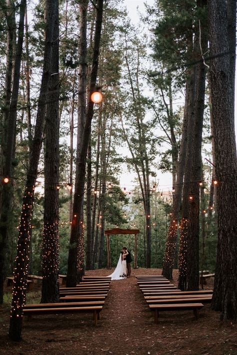 'Lovers Kiss' in the Forest Cathedral Wedding Australia, Lovers Kiss, Rolling Hills, In The Forest, Country Wedding, The Forest, Wedding Venue, Wedding Venues, Forest