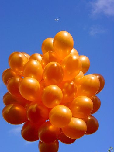 Blow Bubbles, Orange Bubbles, Orange Balloons, Spring Wedding Flowers, Orange You Glad, Colorful Roses, Orange Aesthetic, Orange Is The New, Orange Crush