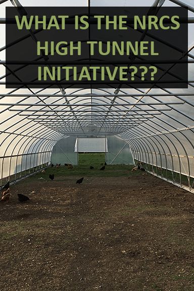 High Tunnel Diy, High Tunnel Greenhouse How To Build, Garden High Tunnels, Diy High Tunnel, High Tunnel Gardening, Polytunnel Layout Ideas, Desert Permaculture, High Tunnel Greenhouse, Tunnel Garden