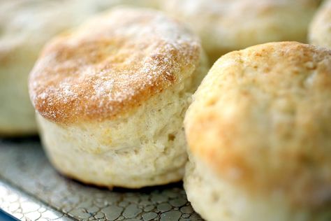 Eula Mae's buttermilk biscuits Buns In My Oven Recipes, Best Homemade Biscuits, Angel Biscuits, Easy Homemade Biscuits, Buns In My Oven, Southern Buttermilk Biscuits, Baking Powder Biscuits, Buttermilk Biscuits Recipe, Southern Biscuits