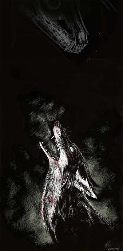 Fox Background, Self Destruct, Shadow Wolf, Fox Drawing, Raven Art, Dark Artwork, Fox Illustration, Canine Art, Shadow Art