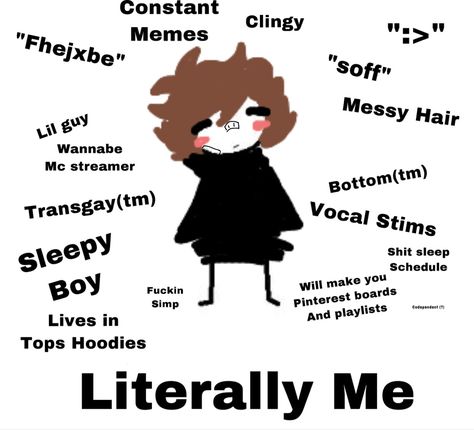 A crudely drawn small boy with grown hair, a black hoodie, and bandaids in the middle of a white background. Around it is text describing the boy. The title is “literally me” with the description text as follows; constant memes, clingy, a smiley face, soff, messy hair, bottom tm, vocal stims,shit sleep schedule, will make you Pinterest boards and playlists, fucking simp, lives in tops hoodies, sleepy boy, trans gay tm, wannabe minecraft streamer, little guy, and keyboard smashing Types Of Boyfriends Drawing, Gf Memes, Sleeping Boy, I Want A Relationship, Love Birthday Quotes, Types Of Boyfriends, Inappropriate Thoughts, Japanese Quotes, Bee Friendly