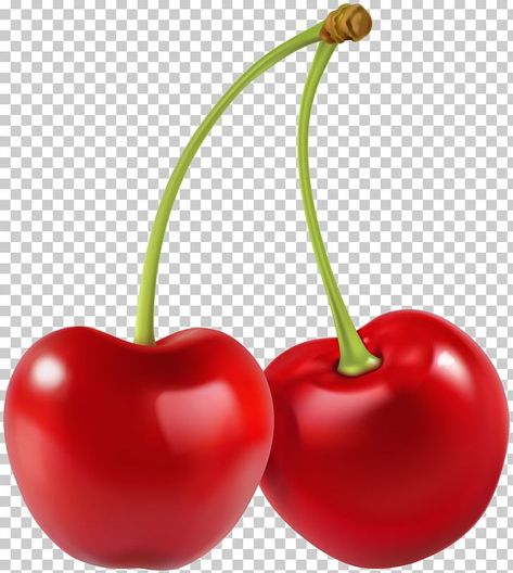 Cherry Png, Fruit Clip Art, Cherry Images, Cherry Food, Fruit Png, Photo Elements, Clay Magnets, 타이포그래피 포스터 디자인, Free Png Downloads