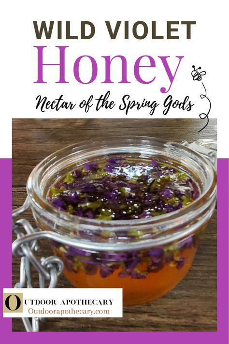 Violet Honey Recipe, Wild Violet Lemonade Recipe, Common Blue Violet Recipes, Violet Recipes Edible Flowers, Wild Violets Uses, Violet Jelly Recipe, Wild Violet Jelly, Wild Violet Recipes, Violet Honey