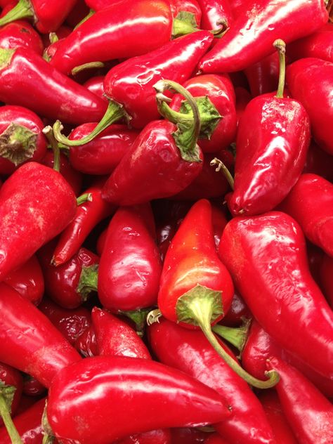 red jalapenos Paprika Spice, Red Jalapeno, Long Pepper, Hot Pepper Seeds, Capsicum Annuum, Hot Pepper Sauce, Mexican Cooking, Pepper Seeds, Chilli Pepper