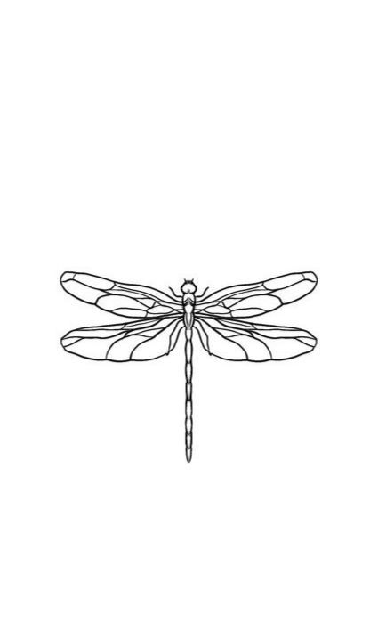 Wine Tattoo, Dragonfly Drawing, Earthy Tattoos, Dragonfly Tattoo Design, Special Tattoos, Tattoo Outline Drawing, Stick N Poke, Sacred Geometry Tattoo, Tattoo Now