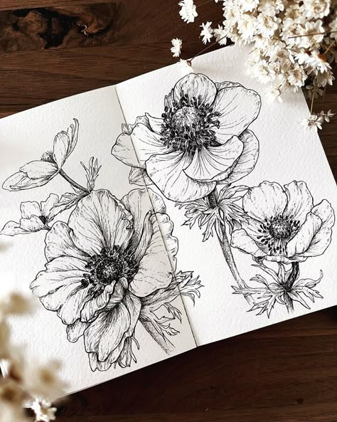 Anemones by Hiro Flower Pen Drawing, Drawings Of Flowers, Pen Art Work, Flower Drawings, Flower Art Drawing, Drawing Sketching, Floral Drawing, Plant Drawing, Botanical Drawings