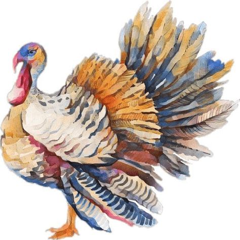 Turkey Drawing, Turkey Painting, Thanksgiving Clip Art, Bird Breeds, Turkey Bird, Turkey Art, Christmas Turkey, Turkey Stock, Turkey Chicken