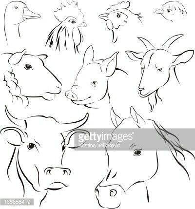 Simple farm animal drawing Farm Sketch Simple, Farm Animal Sketches, Farm Animal Tattoo, Farm Animal Drawings, Farm Doodles, Animals Sketches, Simple Animals, Horoscope Symbols, Animals Vector Illustration