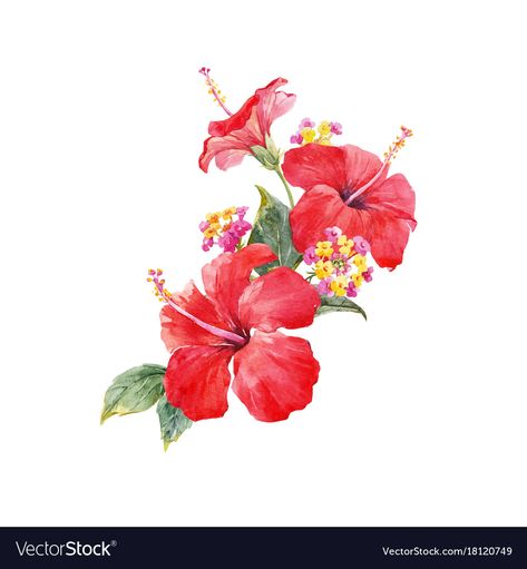 Hibiscus Drawing, Lantana Flower, Flor Tattoo, Tier Tattoo, La Tattoo, Hibiscus Tattoo, Flower Tropical, Hibiscus Plant, Red Hibiscus