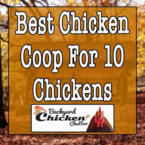 Easy Diy Chicken Coop Plans, Chickens Backyard Breeds, Easy Diy Chicken Coop, Bantam Chicken Breeds, Chicken Shed, Bantam Chickens, Backyard Chicken Coop Plans, Chicken Coup, Diy Chicken Coop Plans