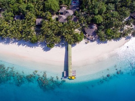 Aloita Resort & Spa - UPDATED 2018 Prices & Reviews (Mentawai Islands, Indonesia) - TripAdvisor Taveuni Island Fiji, Tangalooma Island Resort, Aloita Resort, Jimbaran Bali, Namale Resort Fiji, Soori Bali Resort, Tropical Islands Paradise, Family Friendly Resorts, Intercontinental Tahiti Resort & Spa