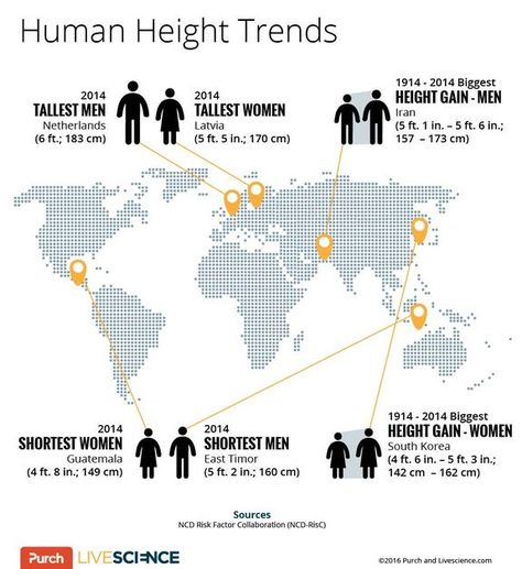 Humans in most parts of the world are now taller, on average, than their counterparts were 100 years ago. Average Height By Age, Dutch Men, Human Height, East Timor, Short People, First Prize, Year 2000, Tall Women, Tall Guys