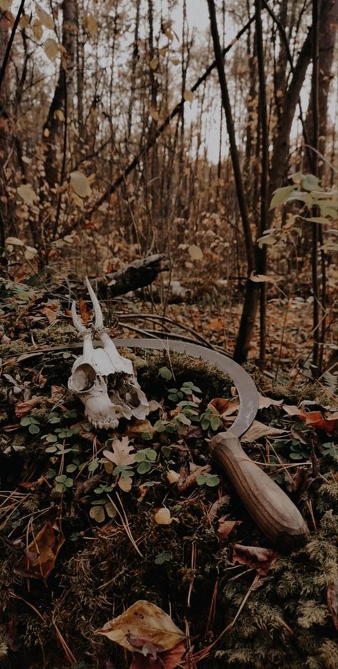 Traditional Witchcraft Aesthetic, Slavic Witchcraft Aesthetic, Slavic Witch Aesthetic, Nordic Witch Aesthetic, Cernunnos Aesthetic, Folk Magic Aesthetic, Bog Witch Aesthetic, Autumn Witch Aesthetic, Samhain Aesthetic