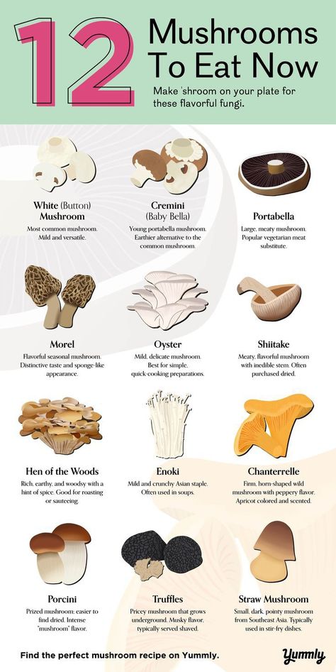 Mushrooms Poster, Edible Wild Mushrooms, Types Of Mushrooms, Growing Mushrooms At Home, Mushroom Varieties, Mushroom Benefits, Mushroom Poster, Mushroom Cultivation, Foraged Food