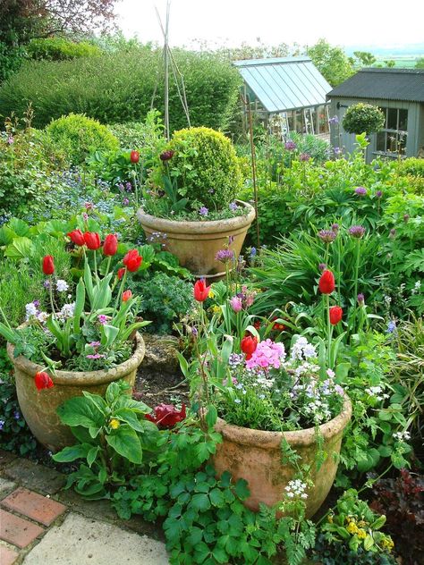 Edible Gardens, Potager Garden, Meteor Garden 2018, Have Inspiration, Garden Containers, Container Gardens, Garden Club, Olive Garden, Garden Borders