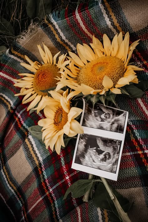 Sunflowers Maternity Photoshoot, Sun Flower Maternity Shoot, Sunflower Photoshoot Maternity, Sunflower Pregnancy Photoshoot, Flower Field Pregnancy Announcement, Maternity Shoot Sunflower Field, Sunflower Field Pregnancy Announcement, Maternity Photo Shoot Ideas Mom Only, Sunflower Baby Announcement