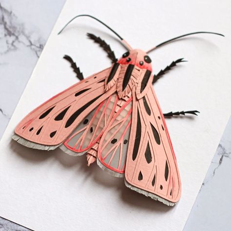 Anouk 🌞 Paper Artist (@kauri_paperstudio) • Instagram photos and videos Insect Crafts, Frame 3d, 3d Paper Art, Bug Art, Paper Collage Art, Paper Lovers, Paper Butterfly, Paper Animals, Cardboard Crafts