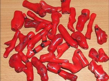 Bone Formation, Bamboo Coral, Gemstone Properties, Crystal Magic, Red Gemstones, Mineral Stone, Rocks And Gems, Spiritual Guidance, Energy Crystals