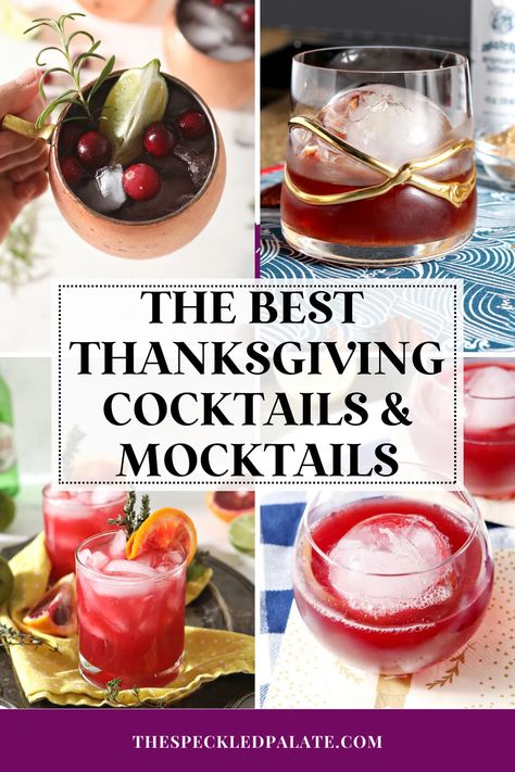 If you want to mix up drinks to serve on Thanksgiving, you are in the right place! Featuring seasonal ingredients like apple, pumpkin, cranberry and more, we've got 20+ cocktail and nonalcoholic drink recipe ideas for you, as well as tips and tricks for mixing drinks at a holiday gathering. #EasyEntertaining #SpeckledPalate Thanksgiving Mocktails, Mocktail Ideas, Nonalcoholic Drink, Thanksgiving Entree, Best Mocktails, Best Thanksgiving Appetizers, Holiday Mocktail, Recipe Menu, Nonalcoholic Drinks