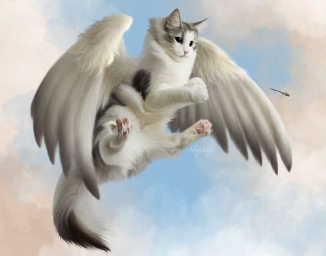 Catch! 🪽 I put a lot of time into this piece and I love it! Still have to learn wings, in both shape and finding a good brush for them,but I’m super happy with how I did! #catart #catartist #felineart #cat #fantasy #fantasyart #paintingprocess #procreate #art #artist Cat Wings, Pokemon Dnd, Cat With Wings, Winged Cat, Procreate Art, Emotional Rollercoaster, Best Brushes, Cats Artists, Super Happy