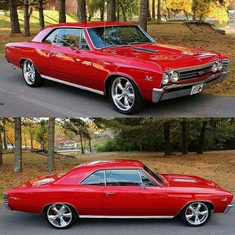 Chev 1967 Chevy Chevelle, Chevy Suv, Chevelle Ss 454, 1967 Chevelle, Chevy Diesel Trucks, Chevy Chevelle Ss, Chevrolet Chevelle Ss, Custom Chevy Trucks, Lifted Chevy Trucks