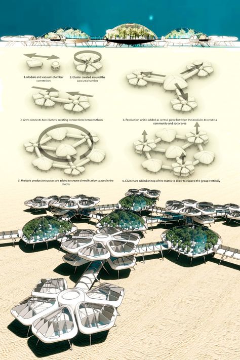 Extreme Habitat Challenge 2020 Jetty Design Architecture, Under Water Architecture, Resort Design Concept, Eco Architecture Concept, Resort Concept Architecture Ideas, Fish Architecture Concept, Pacific Architecture, Biophilic Architecture Concept, Turtle Design Concept Architecture