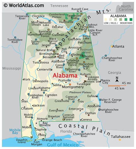 America Outline, Liquidation Pallets, Usa Facts, State Project, Midway Islands, Usa Maps, Florence Alabama, Kansas Map, Us Geography