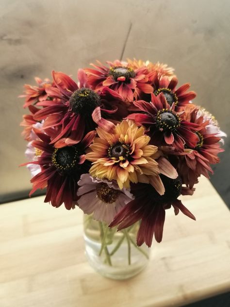 Rudbeckia Sahara, Table Decorations, Furniture, Home Decor, Home Décor