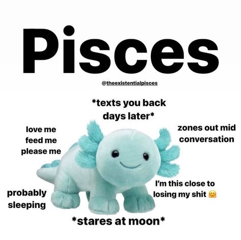 March Pisces Memes, Scorpio X Pisces, Pisces Humor, Pisces Witch, February Pisces, Pisces Funny, Pisces Lover, Pisces Core, Cosmic Quotes