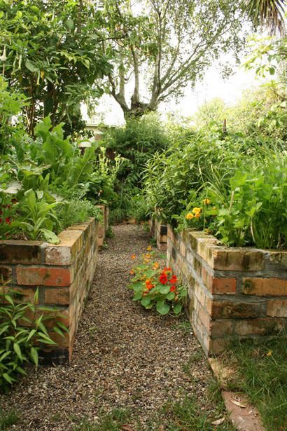 Brick raised gardens: Elevated Vegetable Garden, Brick Raised Beds, Vegetable Garden Beds, Raised Vegetable Gardens, Vegetable Garden Raised Beds, Brick Garden, Plants Growing, Wall Diy, Garden Types