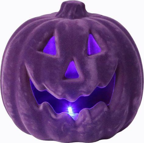 8" Flocked Pumpkin,Led Purple Halloween, Velvet Pumpkins, Purple Design, Wedding Flower Girl, Buy Buy Baby, Online Home Decor Stores, Scary Halloween, Pottery Barn Kids, The Holiday Aisle