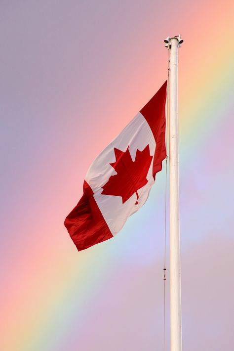 Canadian Pride by Dave Wilson - flickr Canada Party, Canada Soccer, Soccer World Cup, Canadian Things, Canada Eh, Canada Photography, Toronto City, Happy Canada Day, Moving To Canada