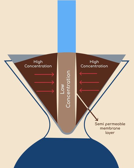 How to brew the good essence of coffee grounds? ☕ Explanation: The idea is to extract coffee by continuously pouring in a centralized point and extract the tasty coffee particles. Image 2: The difference of coffee concentration creates a pressure difference called osmotic pressure. This creates a semipermeable membrane Image 3: The tasty particles of coffee [solvent molecules such as fats acids and sugars] can move through and bigger particles like plant matter cannot Have you tried it yet?... Osmotic Pressure, Scenery Nature, Beautiful Scenery Nature, Coffee Roasters, Coffee Grounds, Have You Tried, Beautiful Scenery, You Tried, Essence