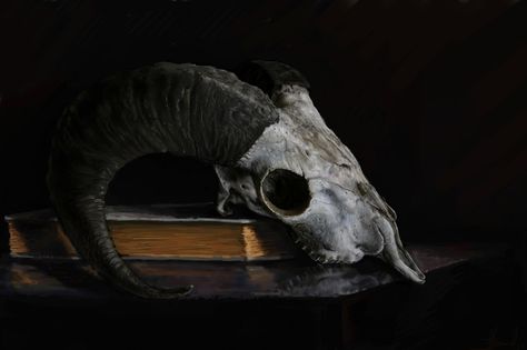 Animal Skull Still Life, Onion Still Life, Painting Challenge, Goat Horns, Goat Skull, Painting Still Life, Animal Skulls, Antlers, Still Life