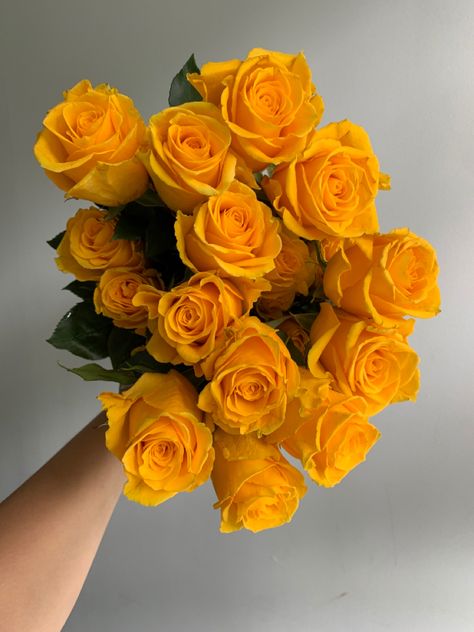 Bright Yellow Roses at Potomac Floral Wholesale Yellow Rose Bouquet, Winter Flower Arrangements, Bouquet Aesthetic, Yellow Rose Flower, Wholesale Roses, Rose Flower Pictures, Flower Therapy, Winter Flowers, Wholesale Flowers