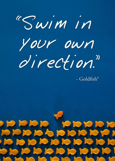 "Swim in your own direction." Wise words from a Goldfish cracker. #quote #innovation Swimming Fish, Quotes About Swimming, Fish Quotes, Swimming Quotes Motivational Short, Swim Quotes, Something Fishy Quotes, Fish Sayings, Advice From A Fish, Fish Quotes Funny