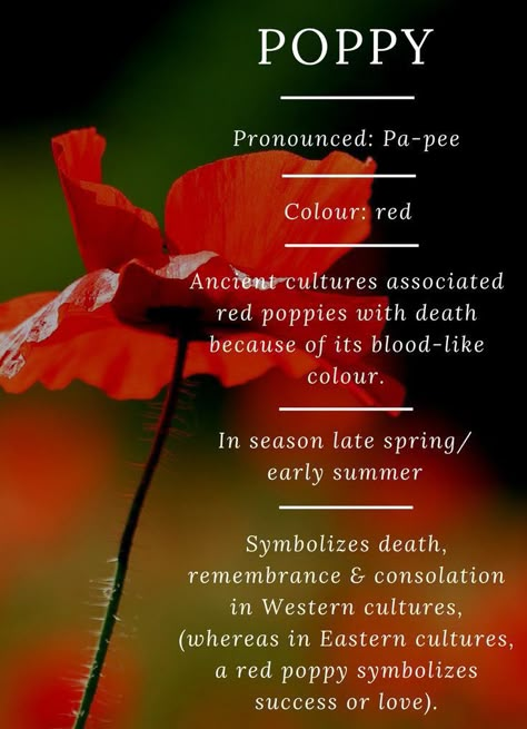 Poppy Symbolism Poppy Flower Meaning, Flowers Symbolism, Poppy Symbolism, Pee Color, Flower Meanings, Western Culture, Shoes Silver, Language Of Flowers, Flower Fairies