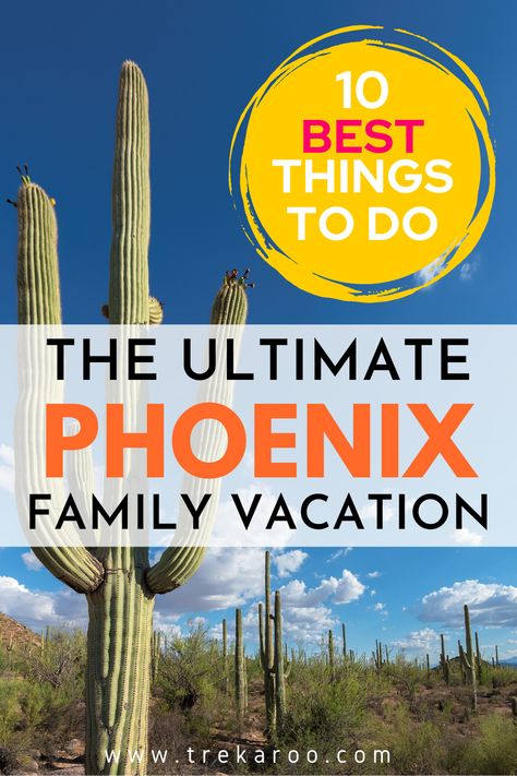 Looking for the best things to do in Phoenix with kids? Whether you are a local or planning a Phoenix vacation, we have you covered! In addition to covering all the best Phoenix attractions, we have included dining suggestions, lodging recs, and great day trips. Phoenix Things To Do Bucket Lists, Free Things To Do In Phoenix Az, Phoenix Arizona With Kids, Phoenix Places To Eat, Phoenix Things To Do, Phoenix With Kids, Phoenix Vacation, Indoor Things To Do, Phoenix Attractions