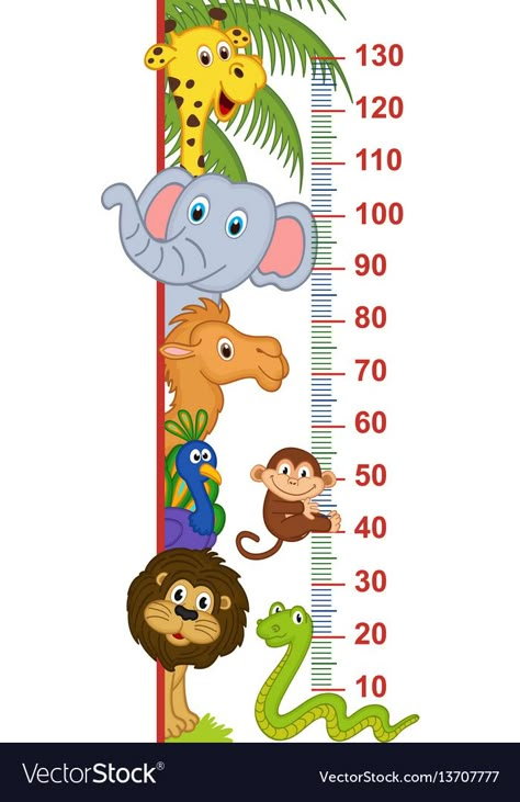 Zoo animal height measure Royalty Free Vector Image School Wall Art Ideas, School Wall Decoration, Kids Classroom Decor, School Wall Art, School Painting, Height Chart, Class Decoration, Kids Classroom, Zoo Animal