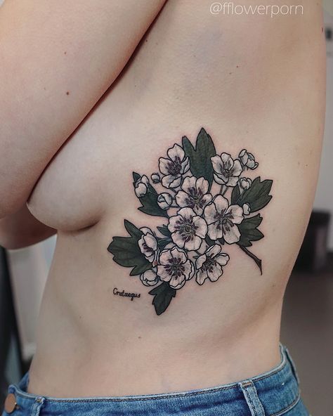 Hawthorne Tattoo, Hawthorn Tattoo, Common Hawthorn, Hawthorne Flower, Hawthorn Flowers, Girl Flower Tattoos, Pretty Flower Tattoos, Floral Thigh Tattoos, Flower Tattoo Shoulder