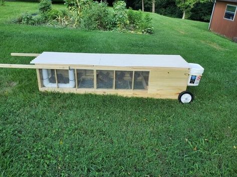 Diy Quail Coop, Quail Coop Ideas, Quail Tractor, Quail House, Quail Coop, Tractor Design, Raising Quail, Tractor Idea, Diy Chicken Coop Plans